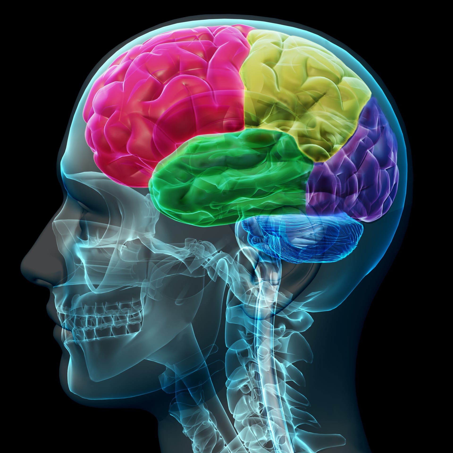 Psicosis | Química del cerebro y esquizofrenia