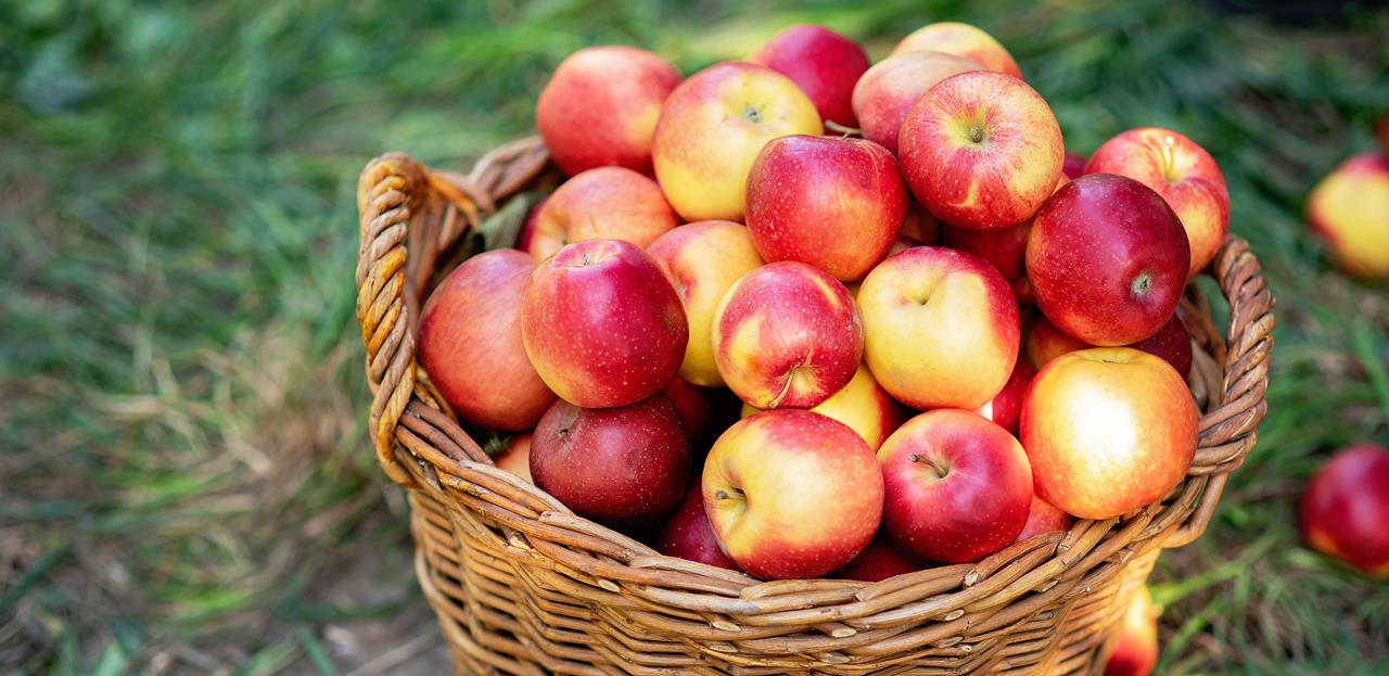 Manzanas: Alimentos para Curar La Diabetes