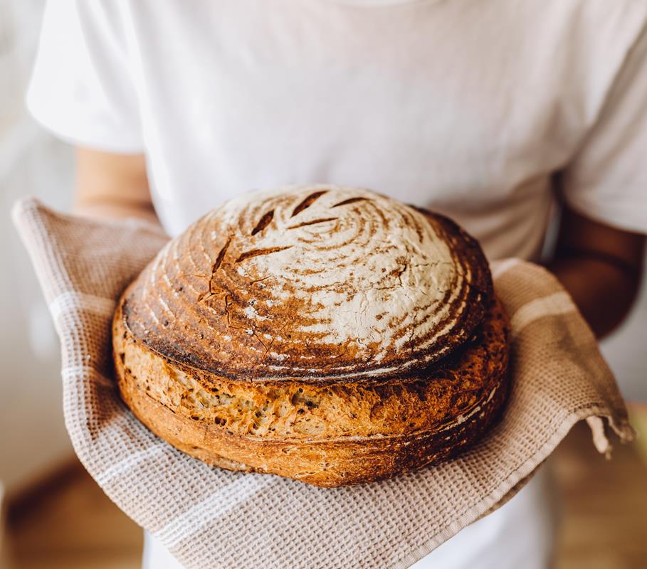alimentos que no contienen gluten