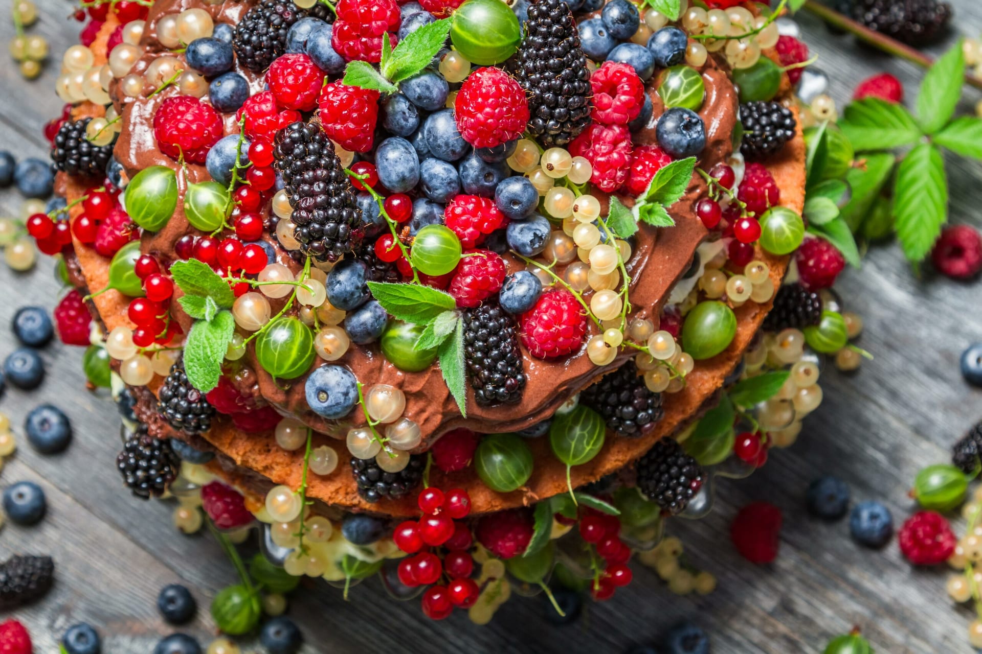 nutricionistas online