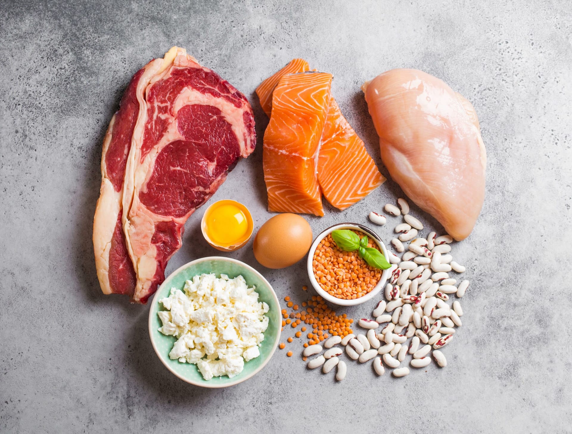 ¿Cuál es su función de las proteínas en el Cuerpo Humano?