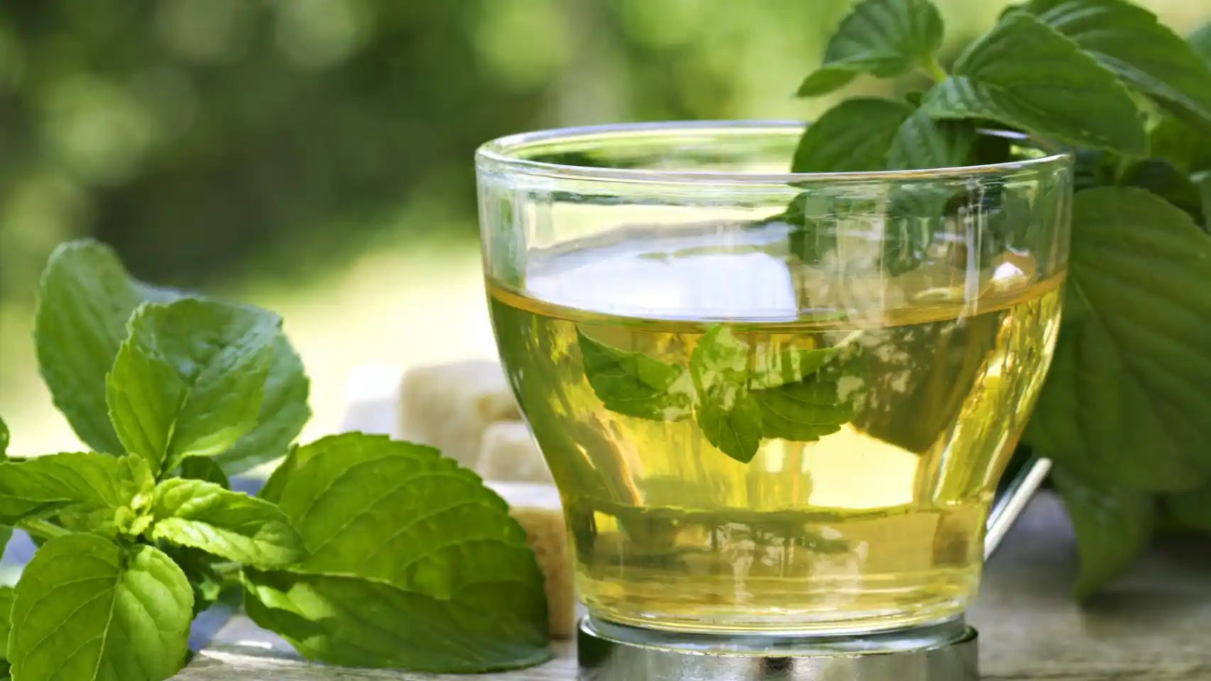 té para bajar el colesterol